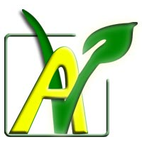 AVF