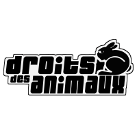 DDA