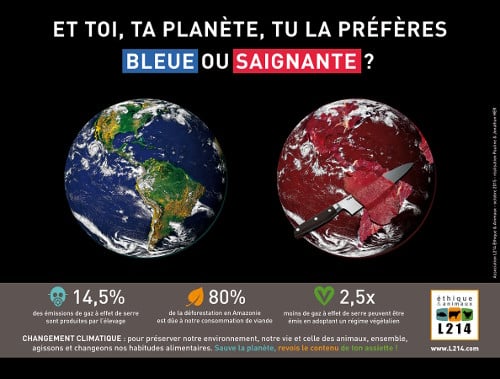 Affiche gagnante 'Et toi, ta planète, tu la préfères bleue ou saignante ?'