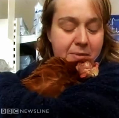 Becky après l'opération