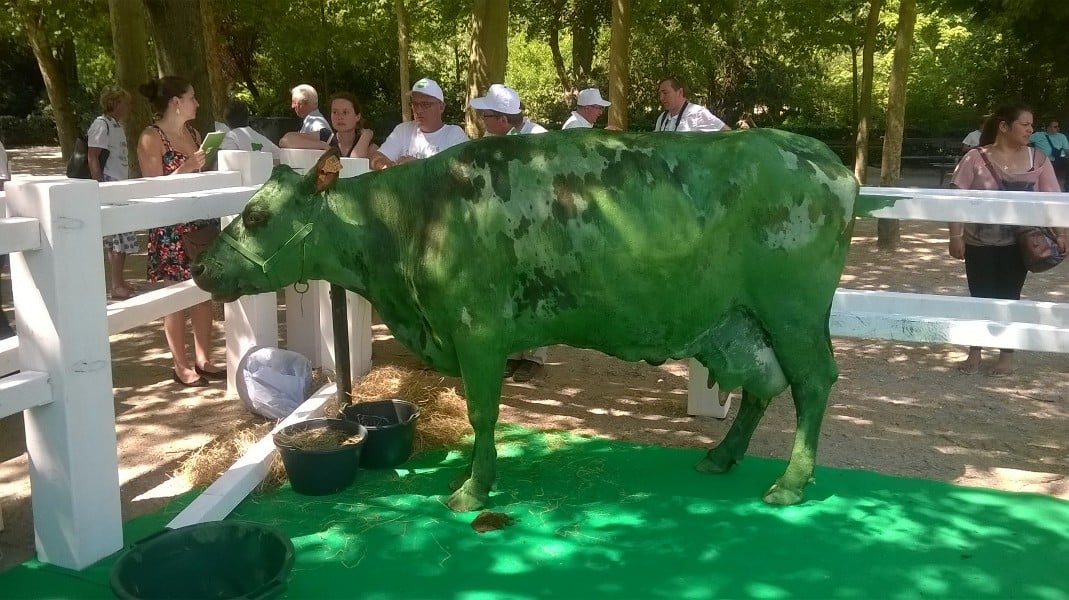 photo de la vache peint en vert