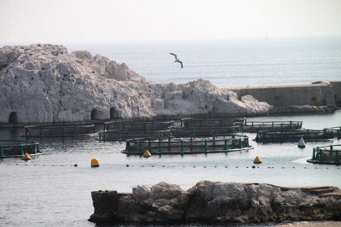 aquaculture, France