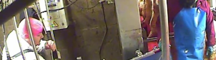 Bannière La cruauté envers les animaux ne s’arrêtera pas tant que nous continuerons de manger de la viande