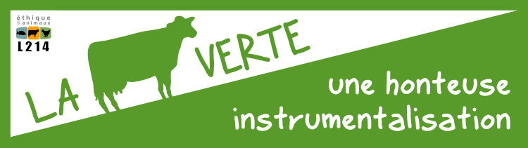 Bannière Une vache peinte en vert pour un ‘greenwashing’ au sens propre