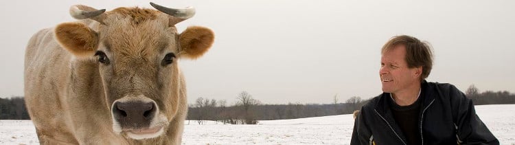Bannière Ce que la science nous dit des sentiments des animaux de ferme