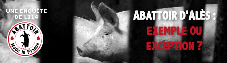 Bannière Abattoir d'Alès : exemple ou exception ?