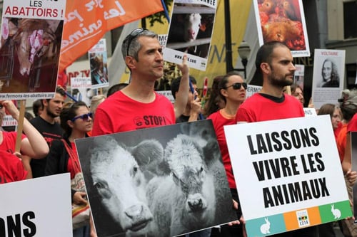 Olivier à la Marche pour la fermeture des abattoirs