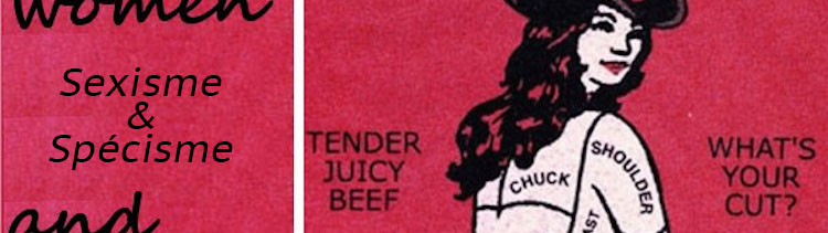 Bannière Oppressions entrecroisées : le point de vue d’une féministe musulmane et vegan