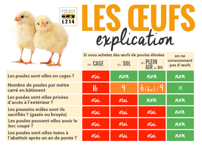 tableau codes oeufs mode d'élevage 0 1 2 3