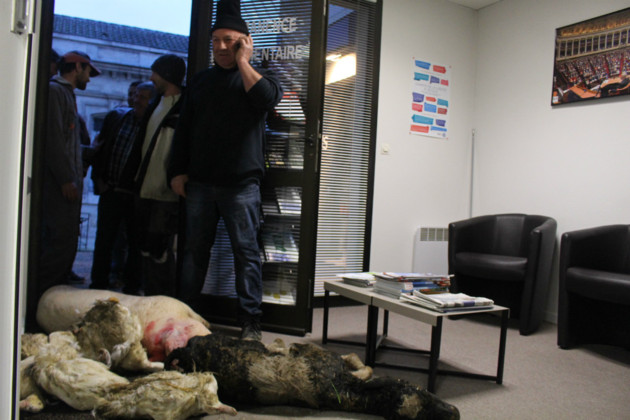 animaux morts dans le bureau de la députée Régine Poveda