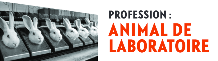 Bannière Profession : animal de laboratoire