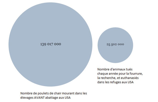 nombre de poulets morts en élevage comparé au nombre d'animaux tués pour la fourrure, la recherche, et dans les refuges
