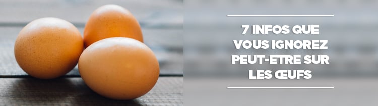 Bannière 7 infos que vous ignorez peut-être sur les œufs