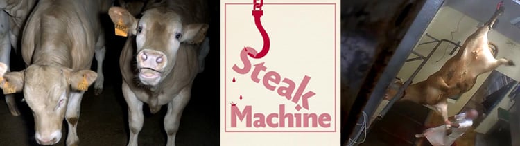 Bannière Steak Machine