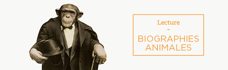 Bannière Biographies animales