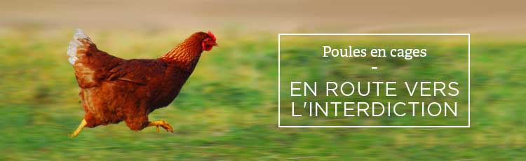 Bannière 2018, vers la fin de l’élevage en cage !
