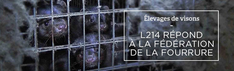 Bannière L214 répond à la Fédération Française des Métiers de la Fourrure