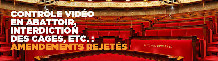 Bannière « Sombre nuit pour les animaux »