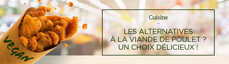 Bannière Les alternatives à la viande de poulet ? Un choix délicieux !