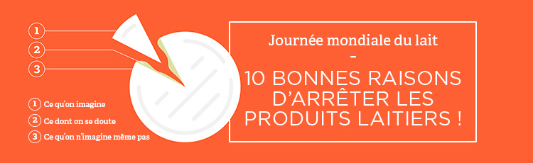 Bannière 10 bonnes raisons d'arrêter les produits laitiers !