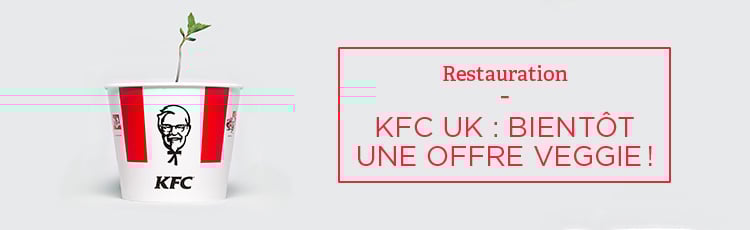 Bannière KFC : bientôt une offre veggie au Royaume-Uni !