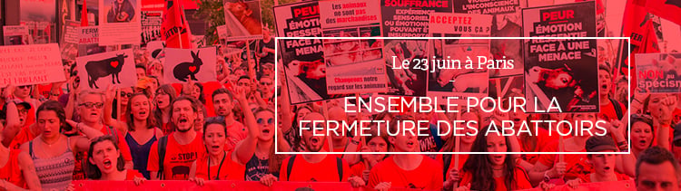 Bannière Ensemble pour la fermeture des abattoirs !