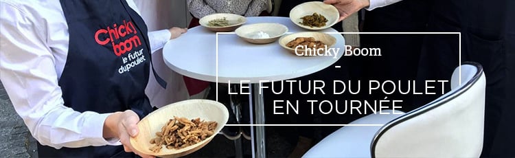 Bannière Chicky Boom : la tournée