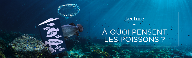 Bannière À quoi pensent les poissons ? 