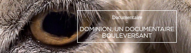 Bannière Dominion, un documentaire bouleversant