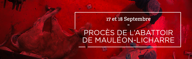 Bannière Enquête à l’abattoir de Mauléon-Licharre : le procès s’ouvre le 17 septembre à Pau