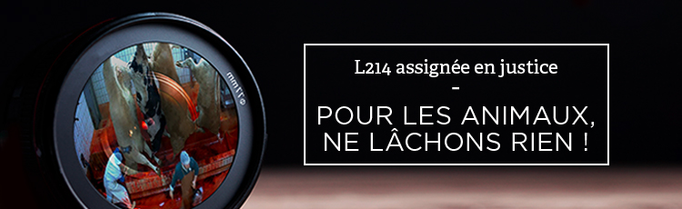 Bannière L214 assignée en justice pour avoir montré la mise à mort des animaux 