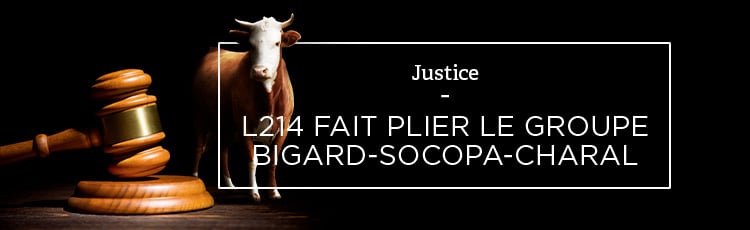 Bannière L214 fait plier le groupe Bigard-Socopa-Charal