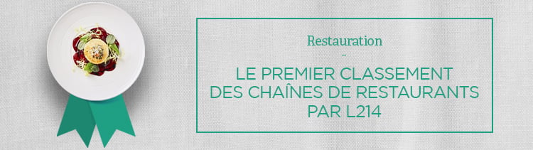 Bannière L214 publie son premier classement des chaînes de restaurants. And the winner is...