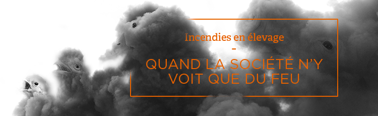 Bannière Plus de 162 000 animaux brûlés vifs ou asphyxiés en 2018 dans des incendies d’élevage en France