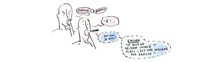 labre nettoyeur seitan 