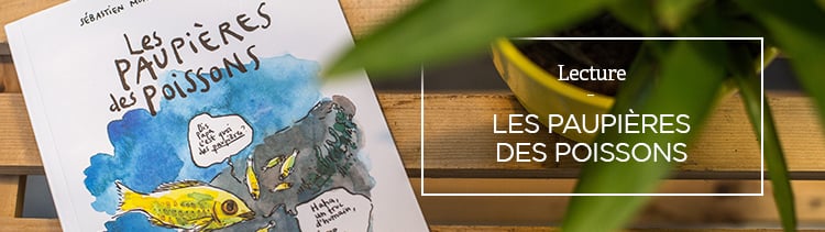 Bannière Les Paupières des poissons