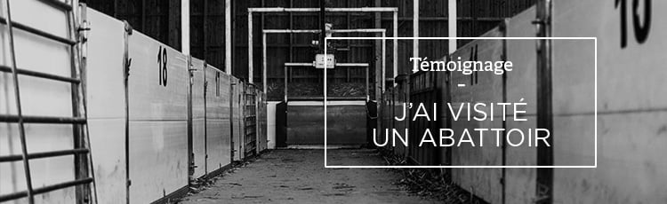 Bannière Témoignage – « J’ai visité un abattoir »