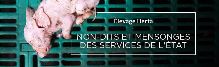 Bannière Herta : non-dits et mensonges des services de l'État