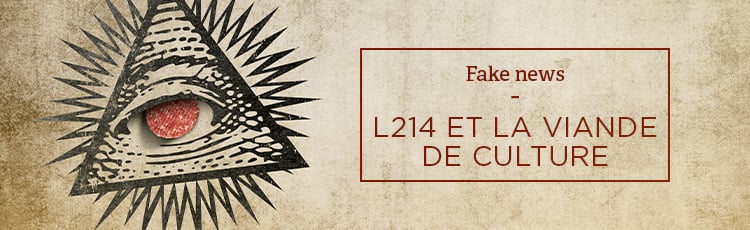 Bannière L214 et la viande in vitro : une fake news tenace
