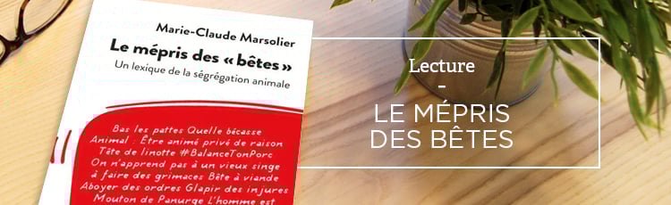 Bannière Le Mépris des « bêtes »