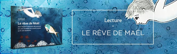 Bannière Le Rêve de Maël