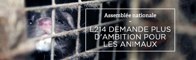 Bannière Une proposition de loi qui manque d'ambition