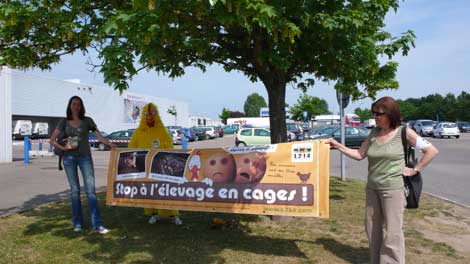 Action pour les poules pondeuses à Metz