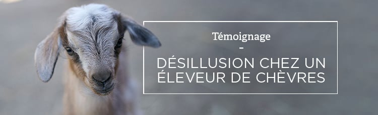 Bannière Désillusion dans un élevage laitier : une ancienne employée témoigne