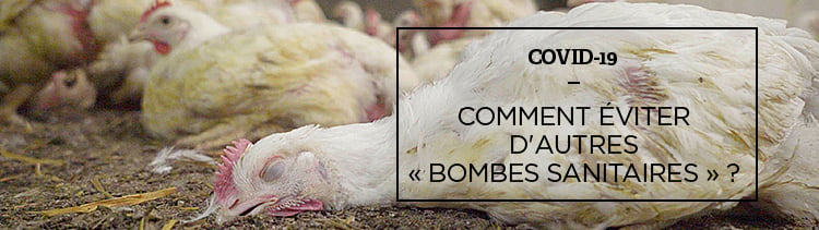 Bannière Des zoonoses à l’antibiorésistance : bienvenue dans la fabrique des « bombes sanitaires »