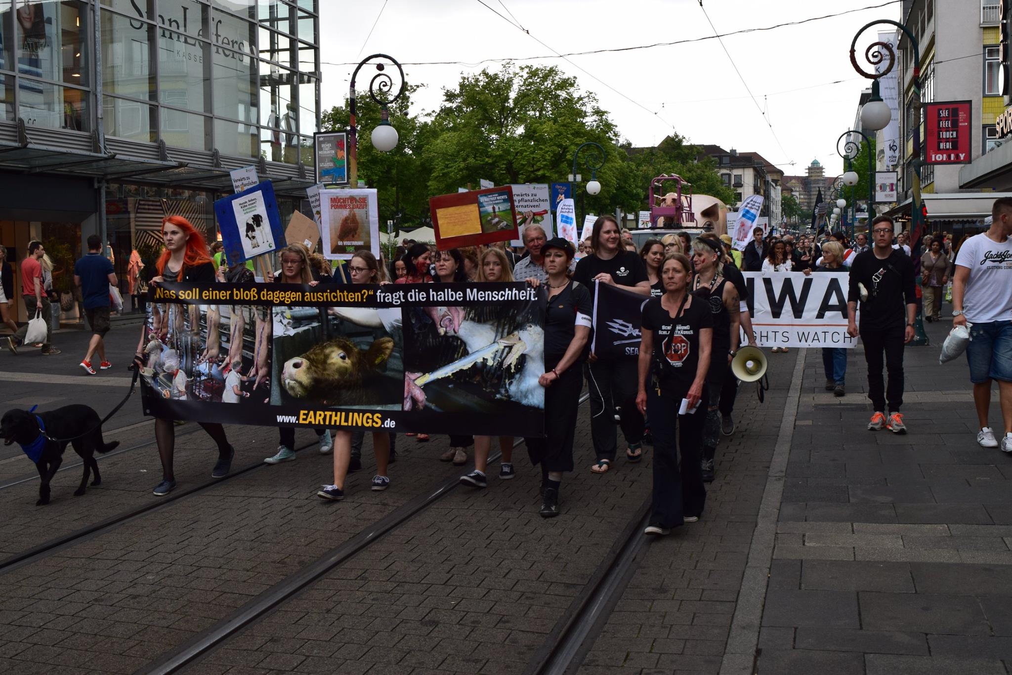 Photo de la Marche pour la fermeture des abattoirs 2015 à Cassel