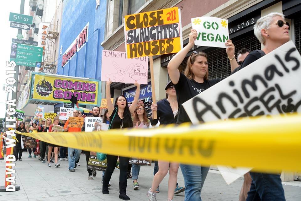 Photo d'une action pour la fermeture des abattoirs 2015 à Los Angeles
