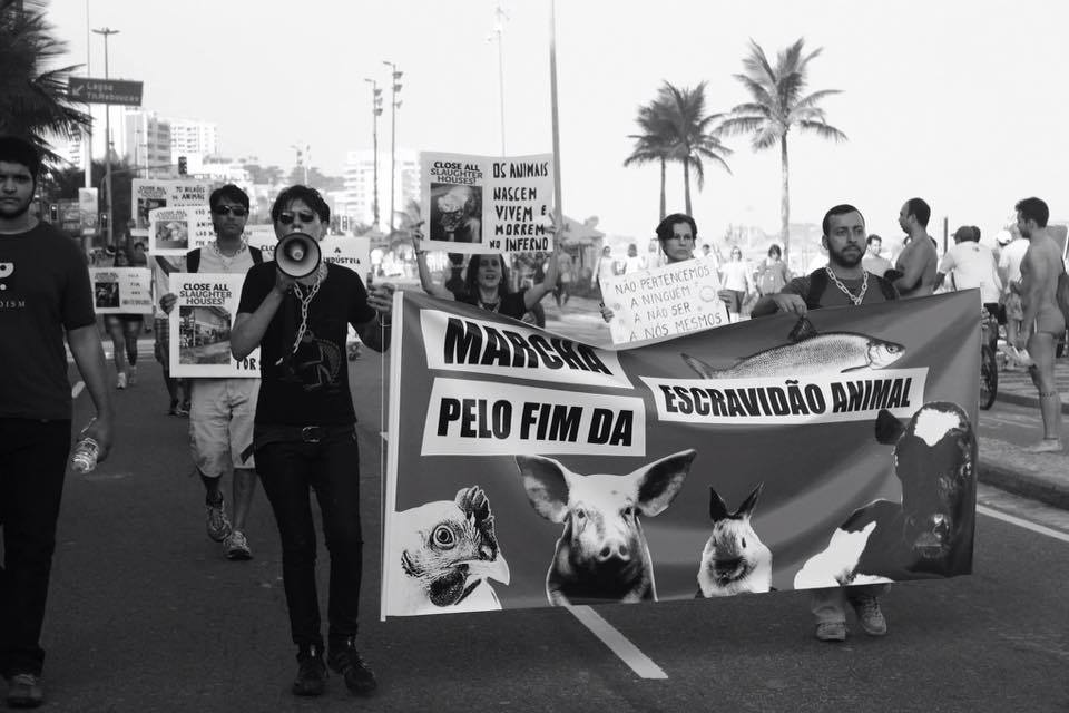 Photo d'une action pour la fermeture des abattoirs 2015 à Rio de Janeiro