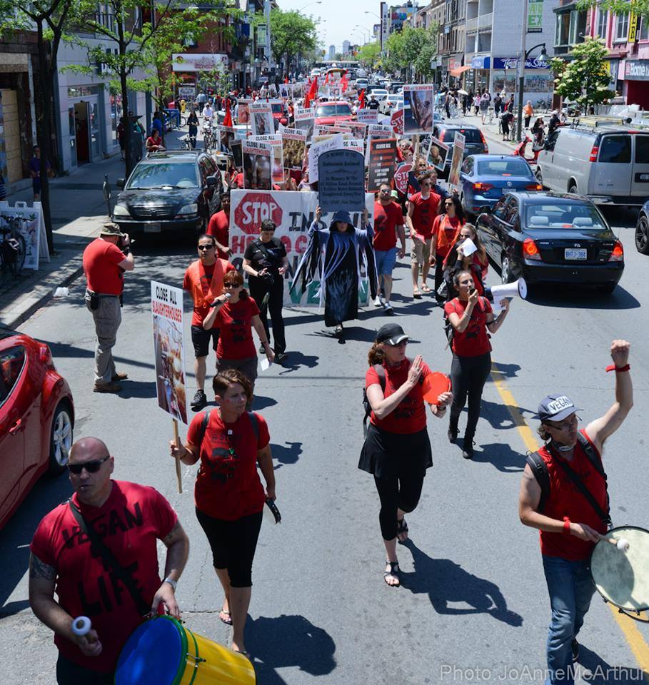 Photo de la Marche pour la fermeture des abattoirs 2015 à Toronto