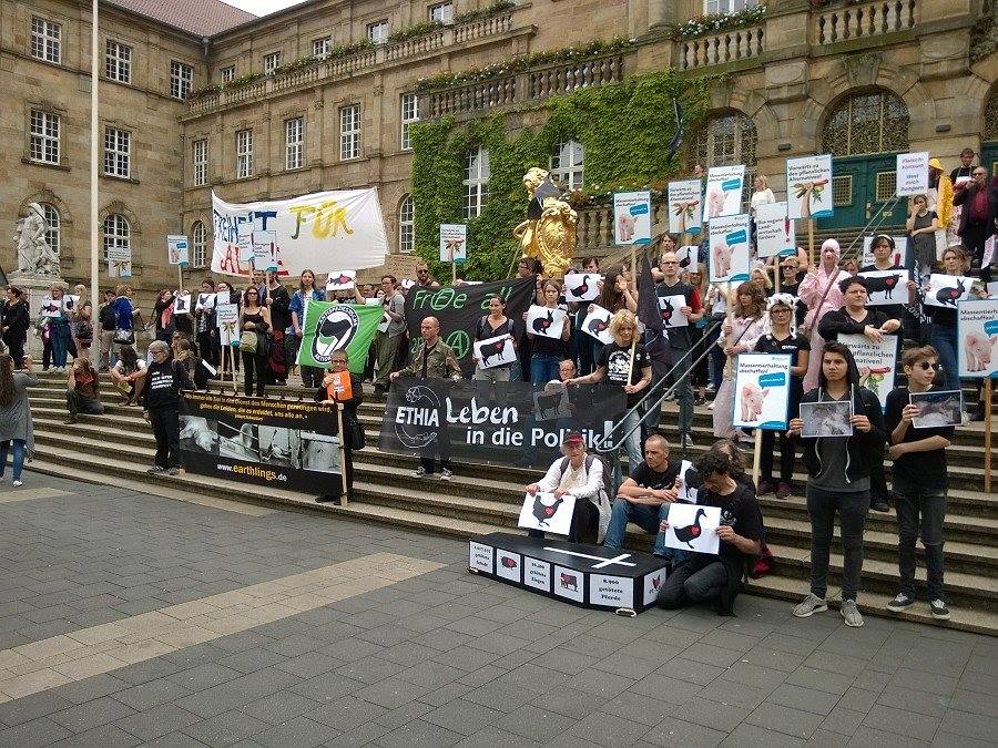 Photo de la Marche pour la fermeture des abattoirs 2016 à Cassel